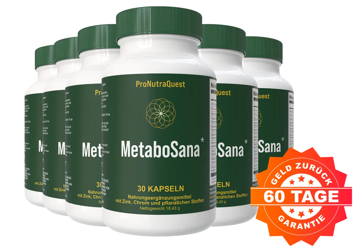 MetaboSana 6 Bottles
